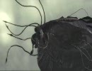 【プレイ】おぬしのためにデモンズソウル　4ソウル【動画】