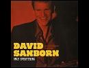 Let The Good Times Roll (Featuring Joss Stone)     /     David Sanborn