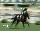 メイクデビュー新潟_サトノフローラ