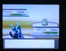 ポケモンセンタートウキョー　Ｌｅｔ'ｓ　ポケモンバトル　スタッフ戦