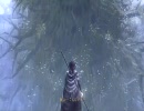 【プレイ】おぬしのためにデモンズソウル　ラストソウル【動画】