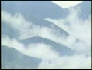 黄金三星