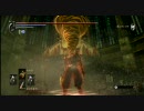デモンズソウル　ゆっくり信魔の対人戦　Part３