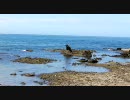 海沿いをゆく　石川県その３