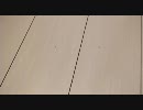 文鳥に嫌われているらしい