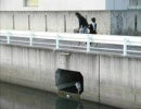 尾崎豆が車輪の唄を唄ったようです