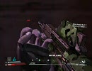 【実狂】BORDERLANDSでトリガーハッピーになる　十一発目