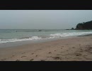 PAVEMENTの「summer babe」を音頭にして歌ってみた