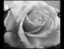 Drink to Me Only With Thine Eyes (arr. R. Bourdon)