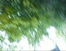 PV的な＋散歩動画
