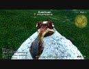 【FF14】 ミコッテがひたすらフィールドを走るだけ 2