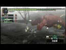 【G.Pro】　MHP2Gをやってみる。　Part.6