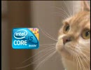 【ぬこ】 猫にインテルが入っていたら 【Intel】