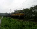三岐鉄道ED45牽引の貨物列車