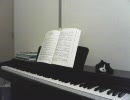 いまさらながらFF9より「Melodies of Life」を弾いてみた