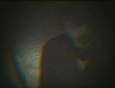 Terminal Twilight - The Fire of Love