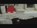 【ぬこ天国】 深夜のIKEAに猫100匹を投入してみた のTVCM