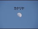 カナリヤを演奏してみた。