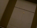 箱におやつを…