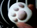 にくきゅーましゅまろ。