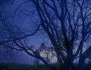 Beyond the Dark
