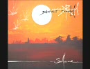 Xavier Rudd - Solace