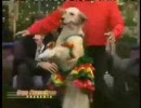 飼い主に合わせてペアダンスをする犬。
