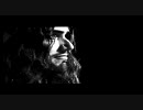 (PV)pain of salvation - Ending Theme