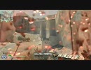 CoD:MW2 TDM 其の拾九 FAMAS