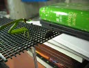 チョウセンカマキリのコオロギ狩り