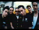 THE COLTS／キューティー・スー