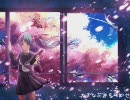 初音ミク　【桜ノ雨】を歌ってみた　【ぬこじゃらし】
