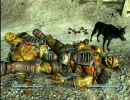 守銭奴の根暗がガラクタを集めつつfallout3を字幕プレイ part29