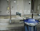 【電動バイク】超音波で接近お知らせ砲