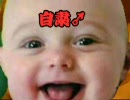 パンレス外伝： 謎の電話男 兄貴編　妖精のしっぽ 8分10秒耐久