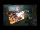 Metro2033 #30