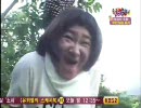 豚に乗ったり乗られたり