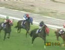 【岩手競馬】2010/09/19　盛岡　第12回ジュニアグランプリ