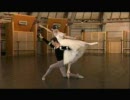 【バレエ】ジゼル　マチルドフルステ　お手本演技