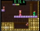 スーパーマリオUSAコレクション版ピーチ縛りRTA 10：59.1