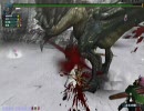 【MHF】ドラギュロス