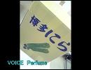 【歌ってみた】Perfume/VOICE【ロクス毛】