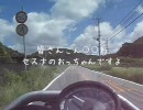 「どうしてこうなった？」セスナの日記