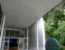 九州国立博物館の鳴き竜現象