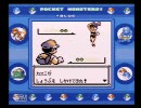 大量消費社会に生きるポケットモンスター【part10】