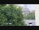 やや大雨@窓の外