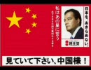 岡田克也「船長釈放は検察がやったこと、政府の関与ない」