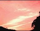 【ピアノ】ロベルト・シューマン「夕べに」【弾いてみた】