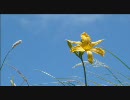 UNCHAIN / The age stream