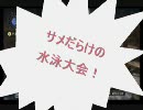 【ＭＨ３】鼻声ハンター日記～ロックラック編～１９後編